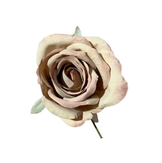 Rose single stem 10x10x18cm (12pz)
