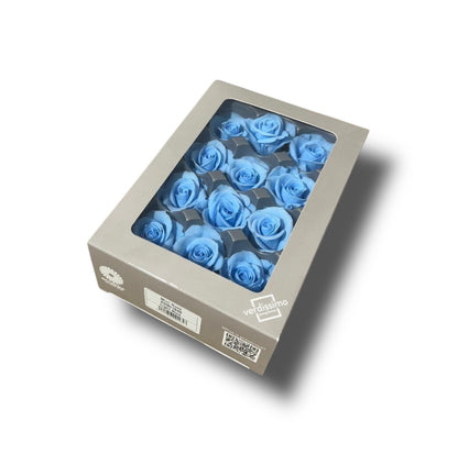 Mini rose stabilizzate 12pz