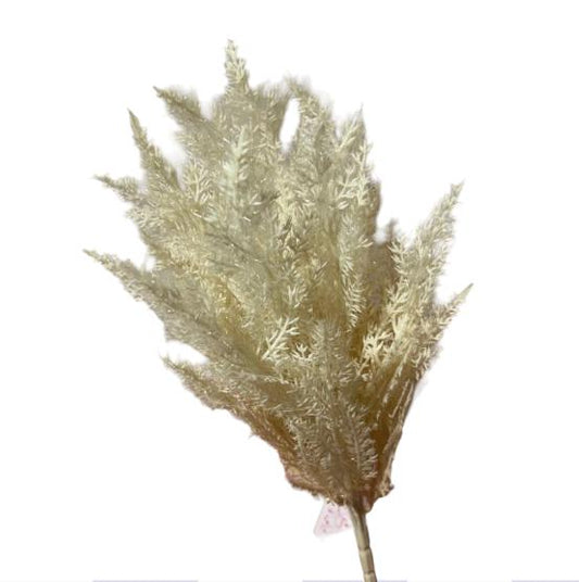 Bush springeri 40cm - Mamà Lah