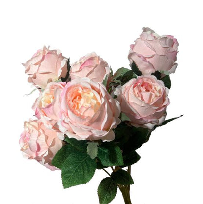 Bush rosa cabbage x10 - Mamà Lah