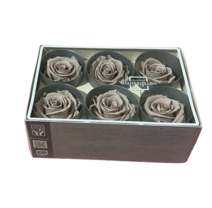 Rose stabilizzate (6pz)