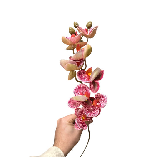 Ramo 9 orchidee
