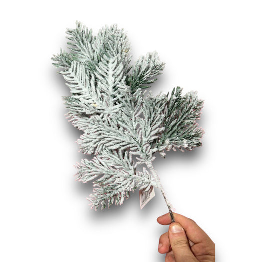 Pick abete con neve