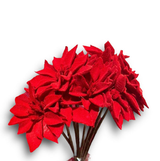Bundle poinsettie x10