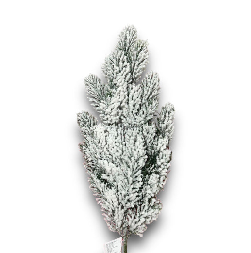 Pick pino nordmann innevato 65cm