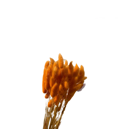 Topini 100gr