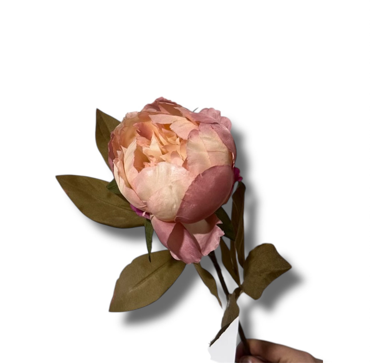 Single peony spray 67cm