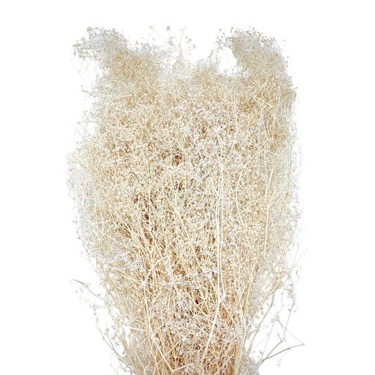 Gypsophila mini 40gr
