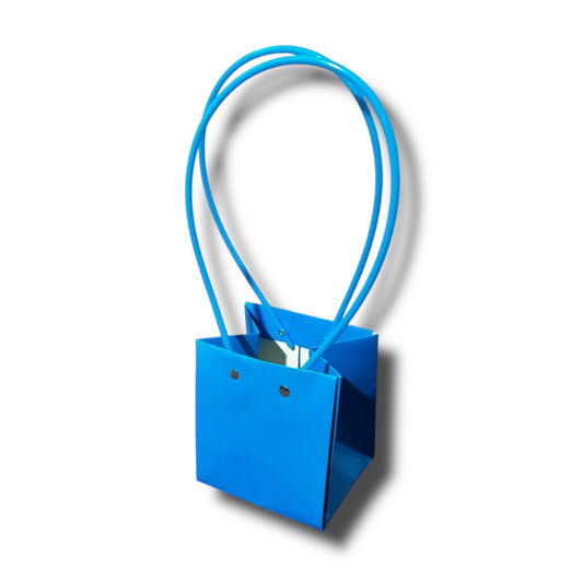 Buste carta con manico 12x13/36cm (12pz)