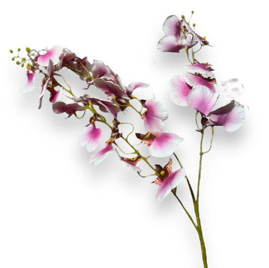 Ramo dancing orchid 16x16x89cm