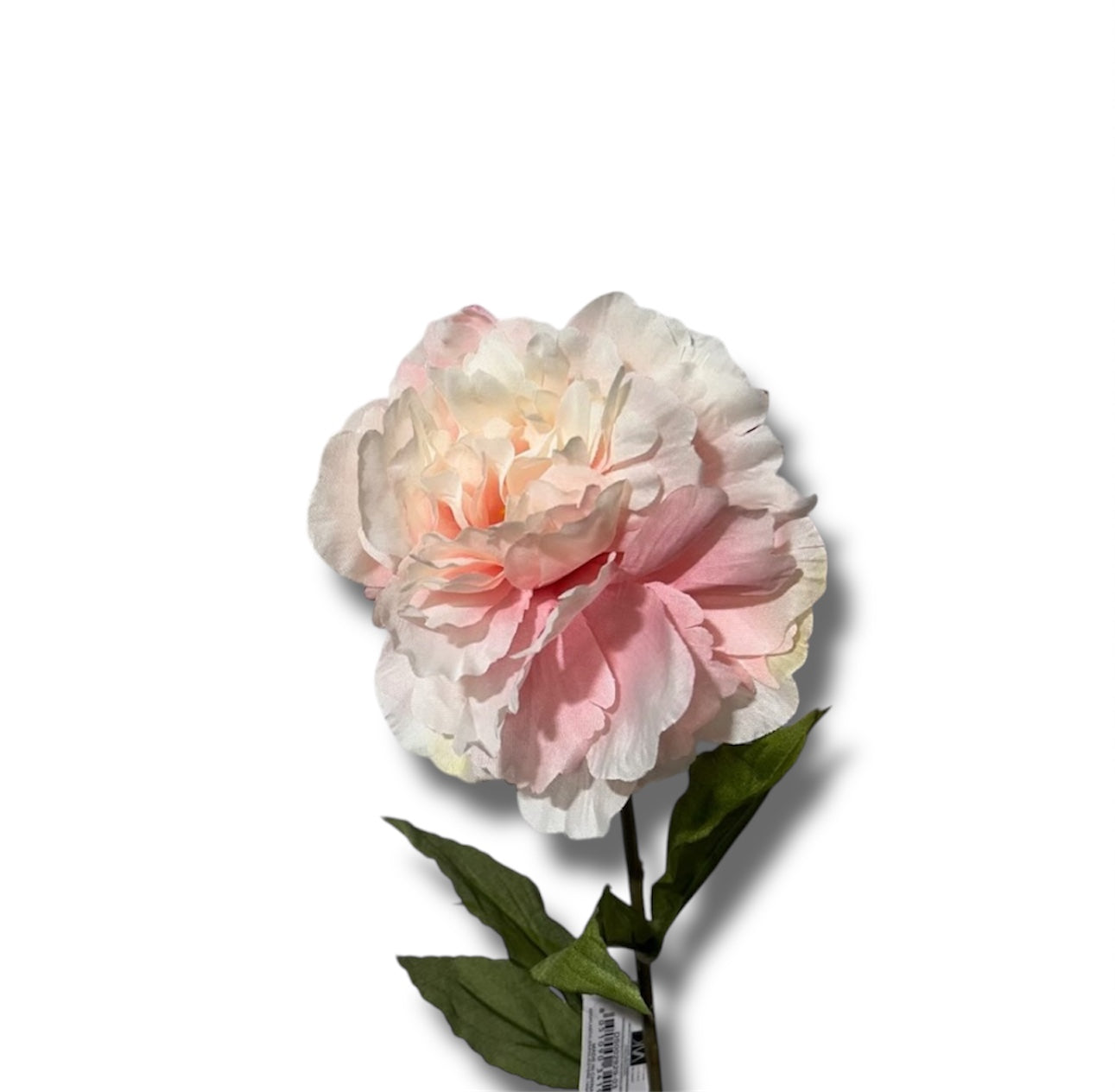 Single peony spray 70cm