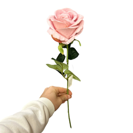 Rosa singola in velluto