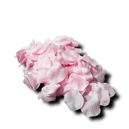 200pz Petali di rosa