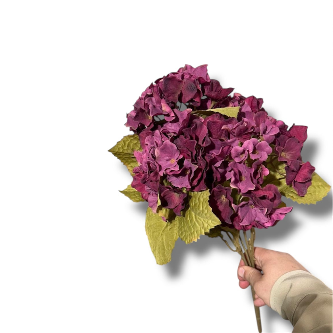 Hydrangea buch x5 45cm