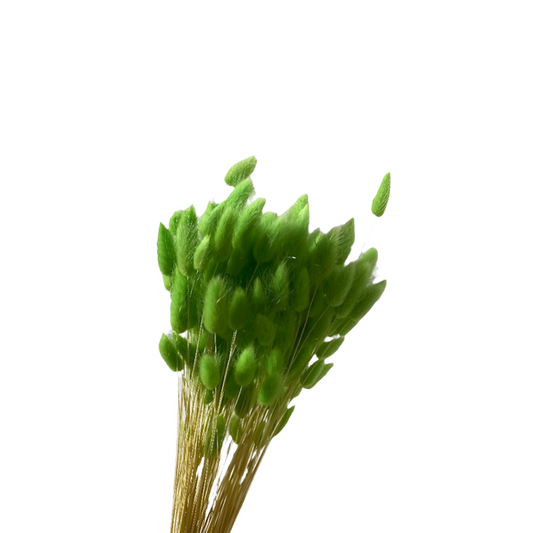 Topini 100gr