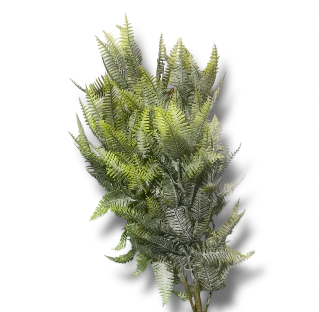 Edera ramo 72cm x5