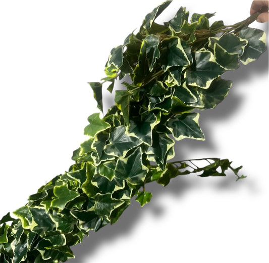 Edera mazzo 129cm cadente