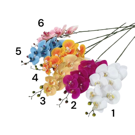 Phalaenopsis spray x12