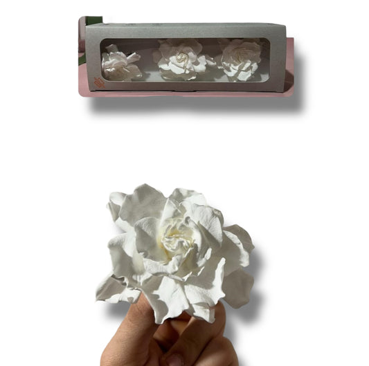GARDENIA WHITE STABILIZZATA (3pz)