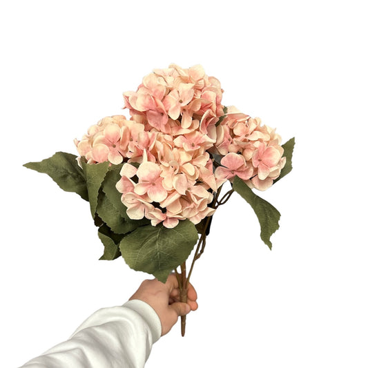 Bush ortensie x5 - Mamà Lah