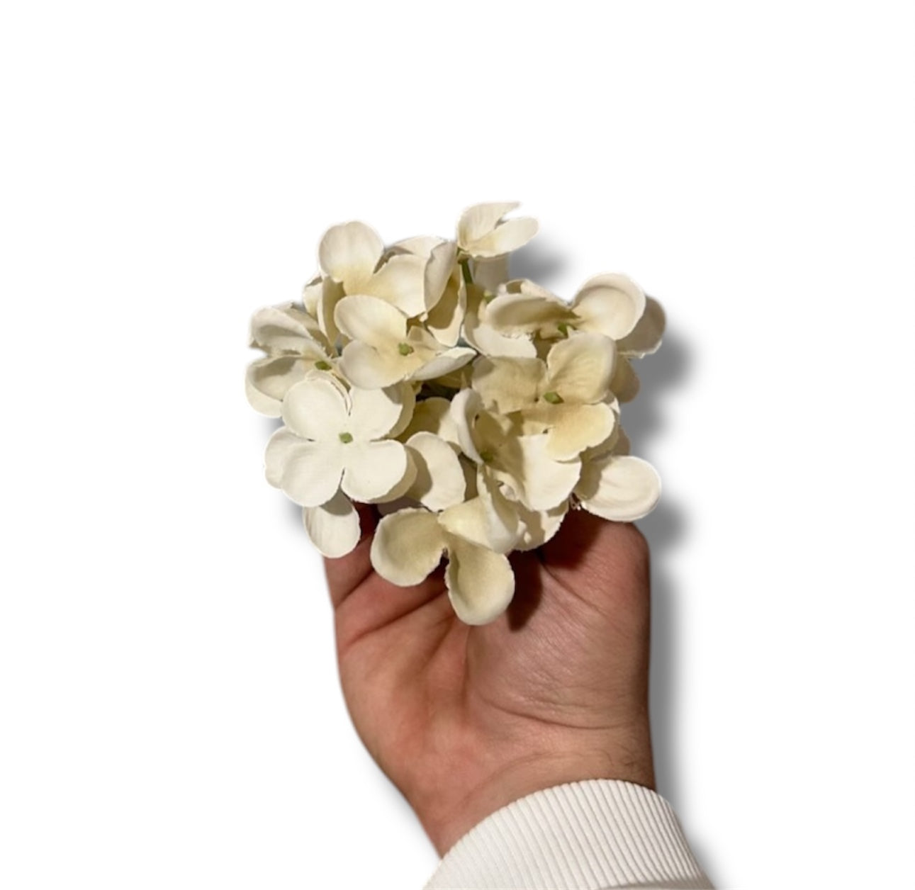 Pick ortensia (12pz)