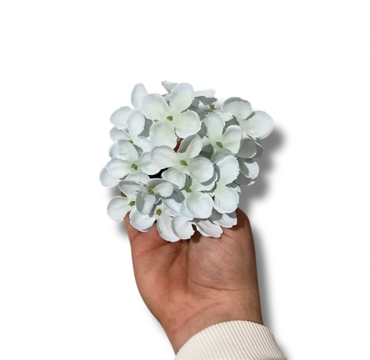 Pick ortensia (12pz)