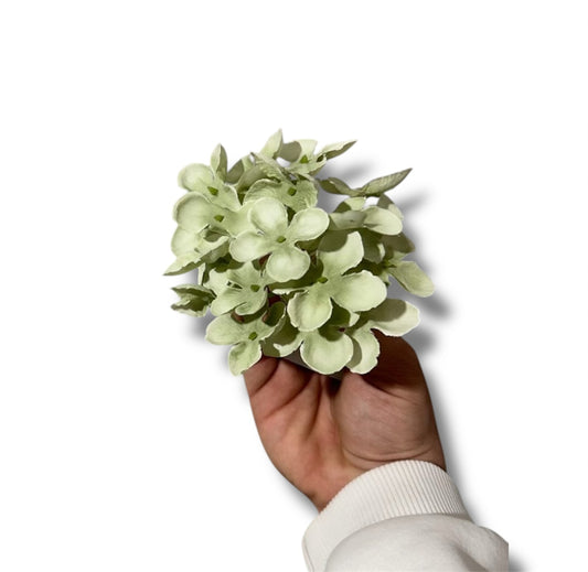 Pick ortensia (12pz)
