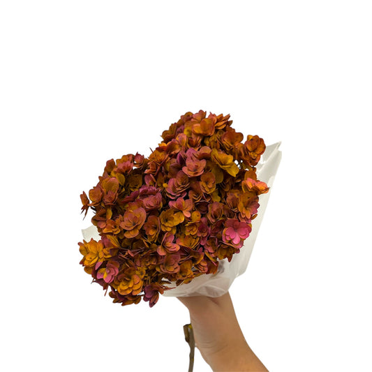 Ortensia Twin Petals Stabilizzata – Mazzo