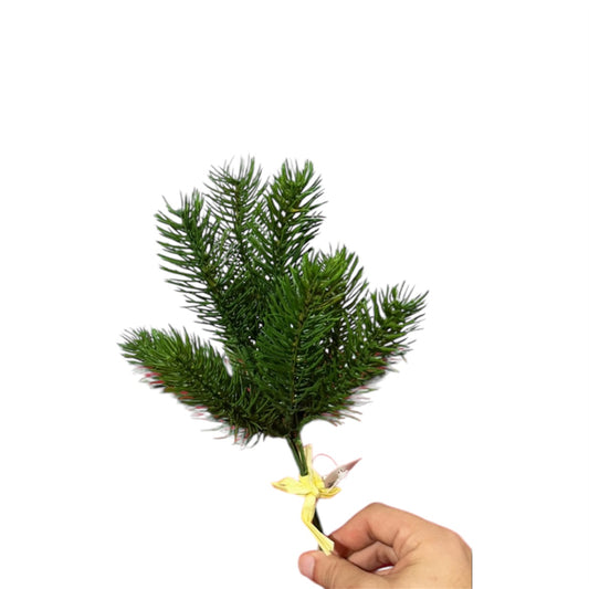 Mazzo Pine Bundle x3 – 27 cm