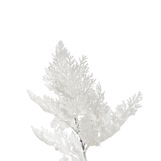 Ramo Tuja Bianco con Neve – 40 cm