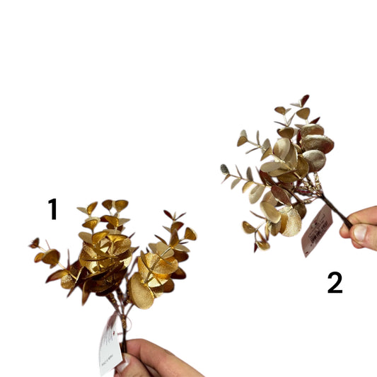 Pick eucalipto 16 cm