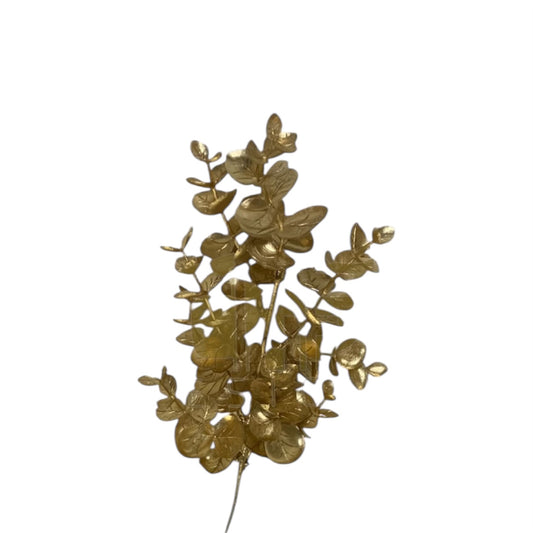 Eucalyptus spray oro