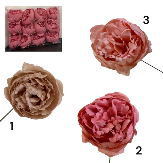 Pick Peonia (conf. 12 pz)