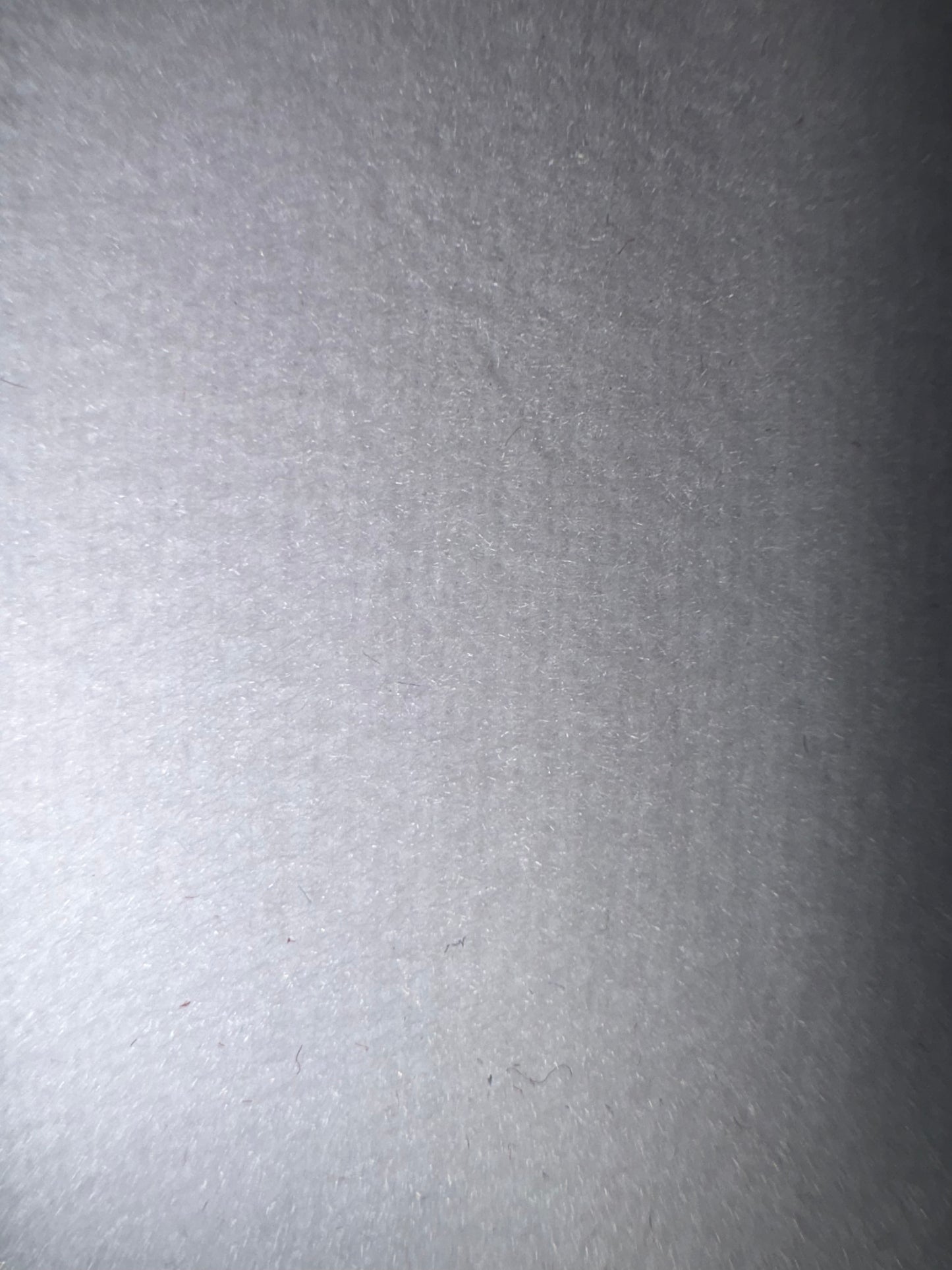Nastro double velvet