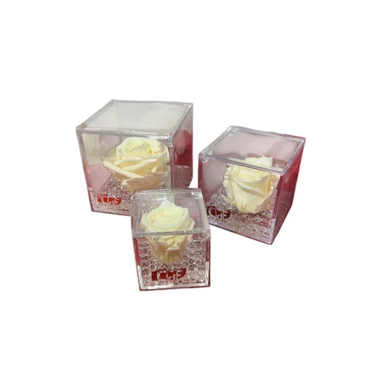 Composizione Rose stabilizzate